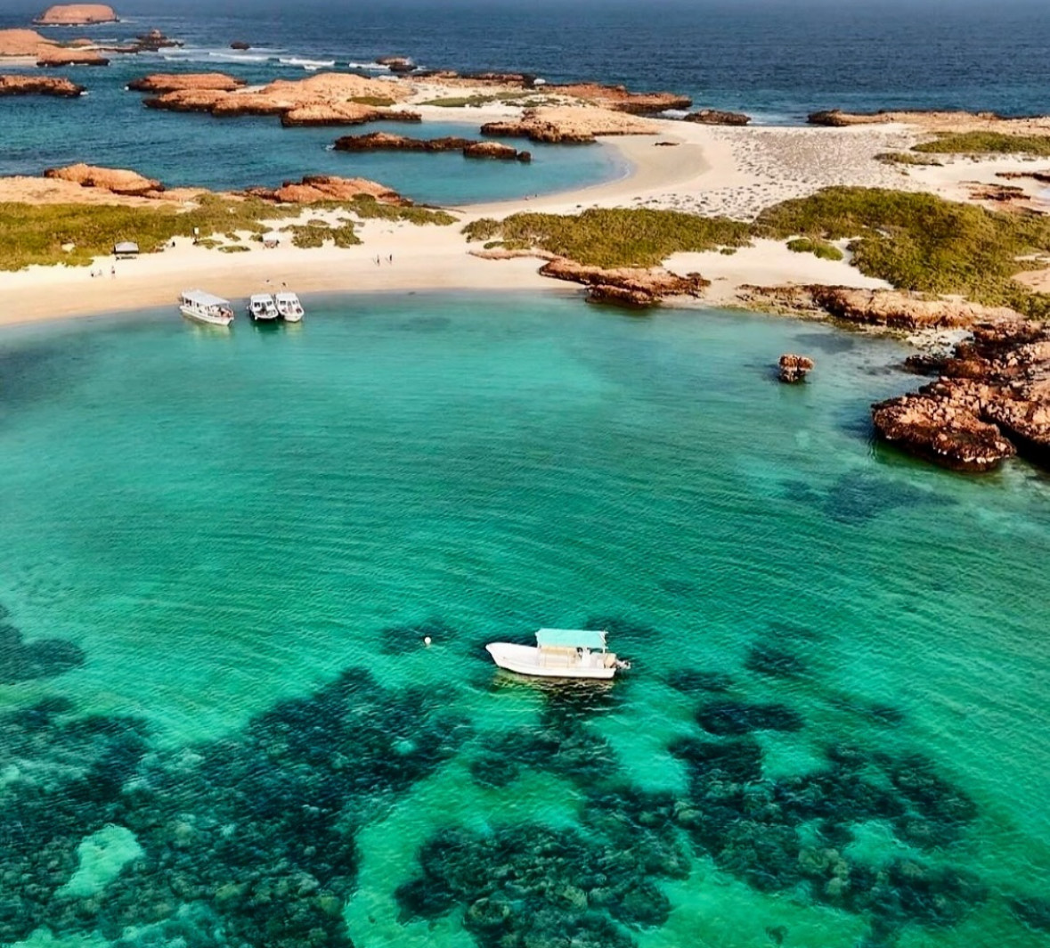 Snorkel Oman: Experience the Top Underwater Adventures